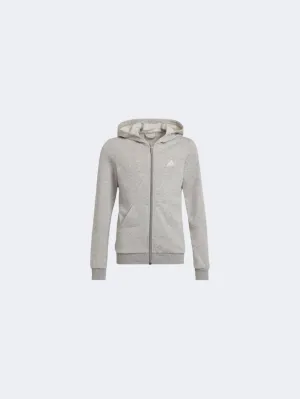 Adidas Essentials Gs-Girls Lifestyle Hoody Grey/Clear Pink