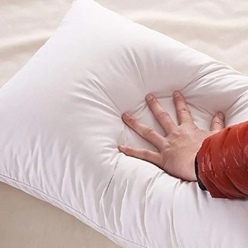 Compal The First and Original and Premium Luxury Plush Gel Bed Pillow for Home Hotel Collection Good for Side and Back Sleeper Cotton Cover Dust Mite Resistant and Hypoallergenic - Queen (2, 16"X24")