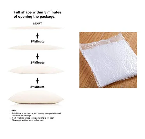 Compal The First and Original and Premium Luxury Plush Gel Bed Pillow for Home Hotel Collection Good for Side and Back Sleeper Cotton Cover Dust Mite Resistant and Hypoallergenic - Queen (2, 16"X24")
