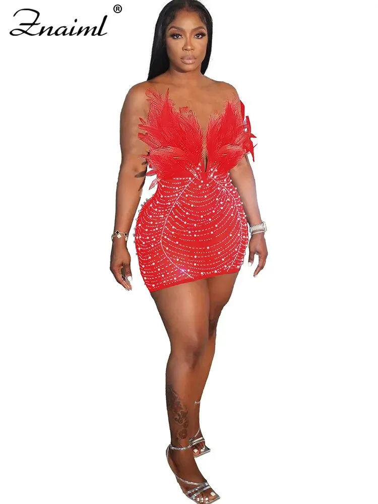 Feather Rhinestones Sheer Mesh Bodycon Dress for Woman*