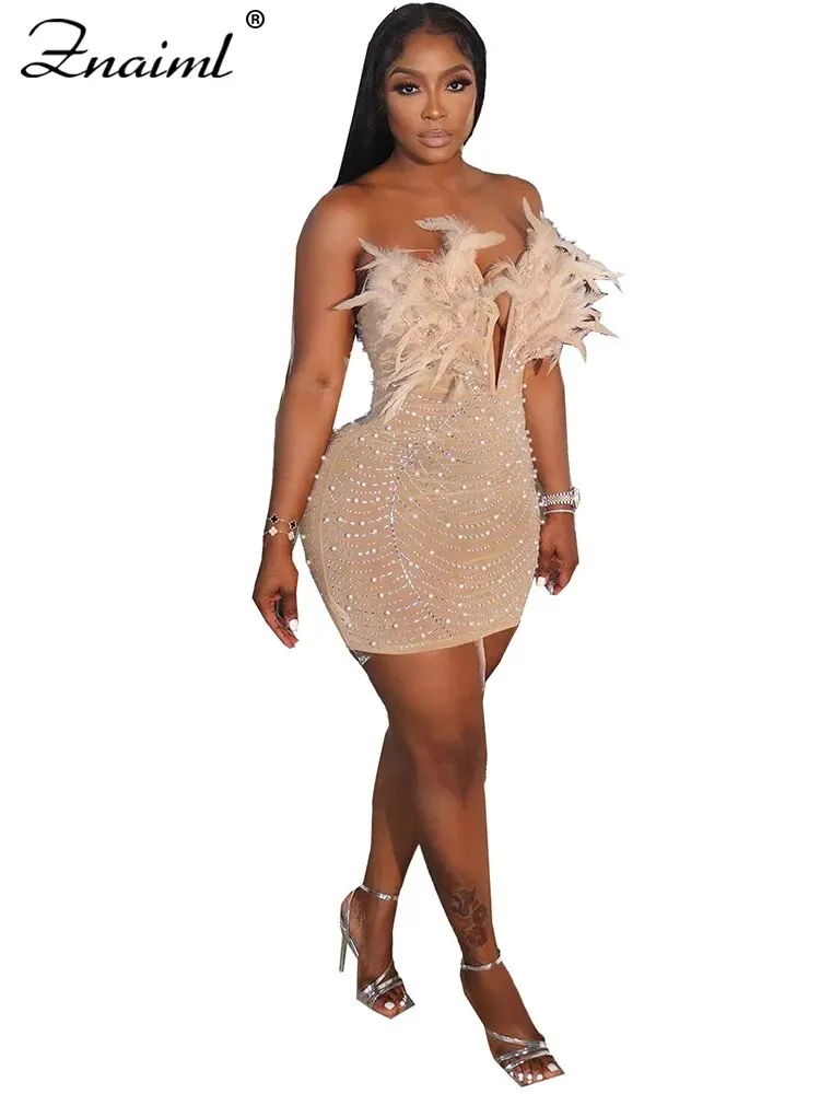 Feather Rhinestones Sheer Mesh Bodycon Dress for Woman*