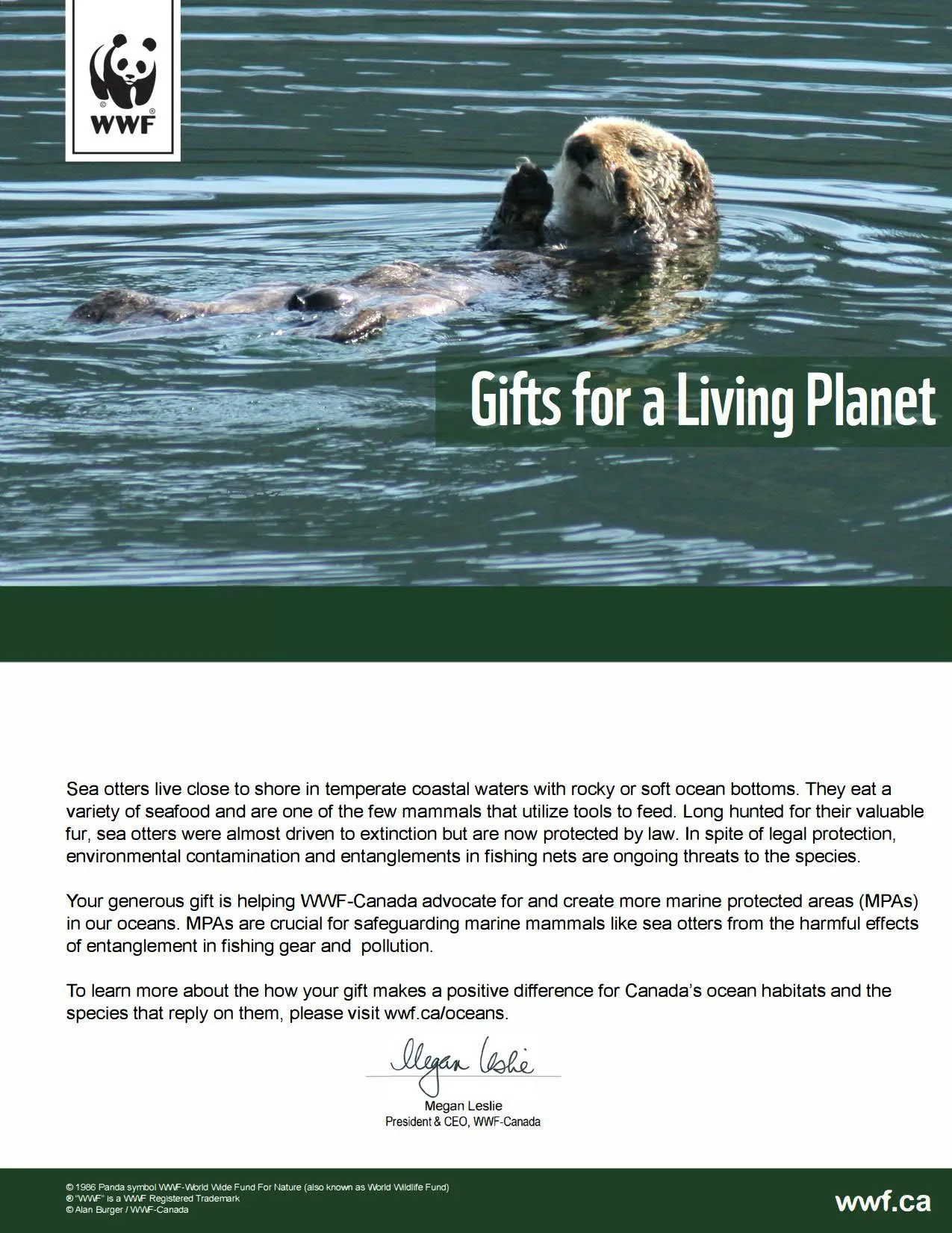 protect the sea otter’s home